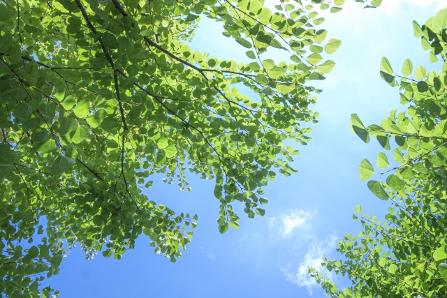 副業のメリットを最大化！成功するためのコツと実践例