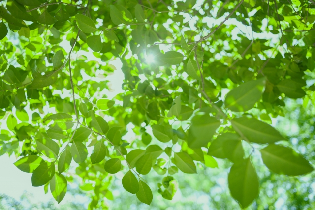 やる気が出ないときこそ「小さな工夫」で乗り切ろう